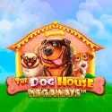 Dog House