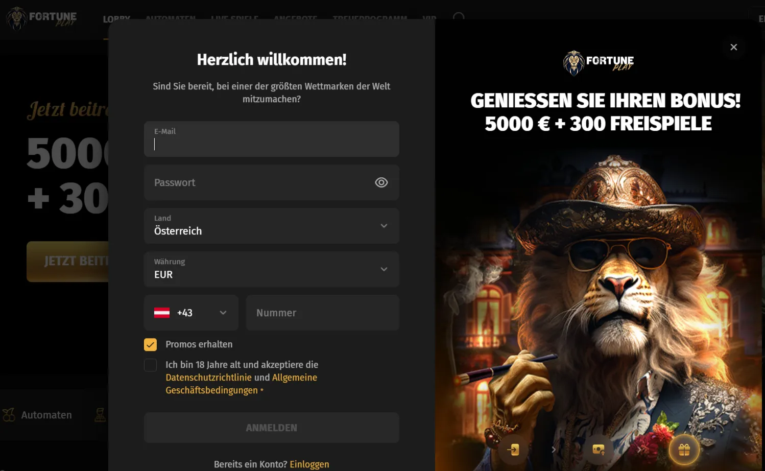 Fortune Play Casino Banner