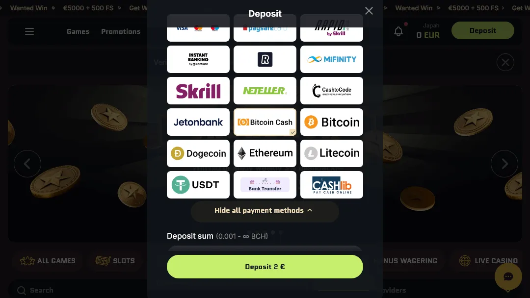 Einzahlungsoptionen im Online Casino mit Kryptowährungen, E-Wallets und Banküberweisung